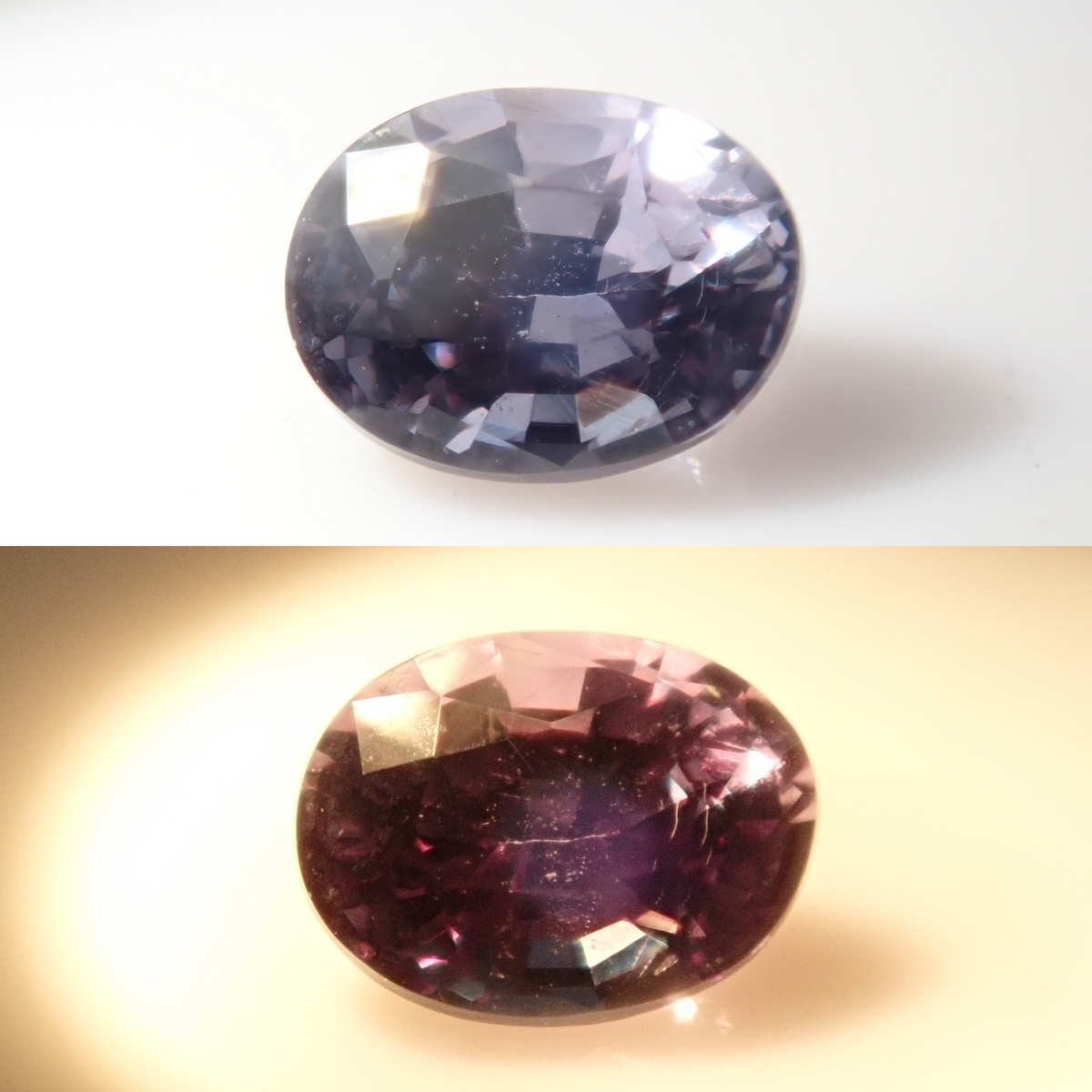 初売価格 骨製 マハーカーラ像 ヴィンテージ チベット ネパール 【公式