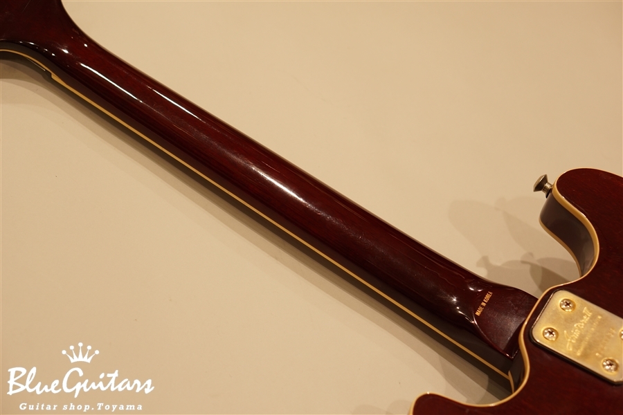 Aria Pro II TA-62 - Wine Red | Blue Guitars Online Store