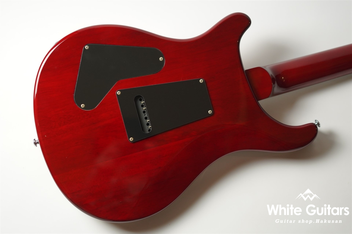 Paul Reed Smith(PRS) SE Custom 24 25th Anniversary - Vintage