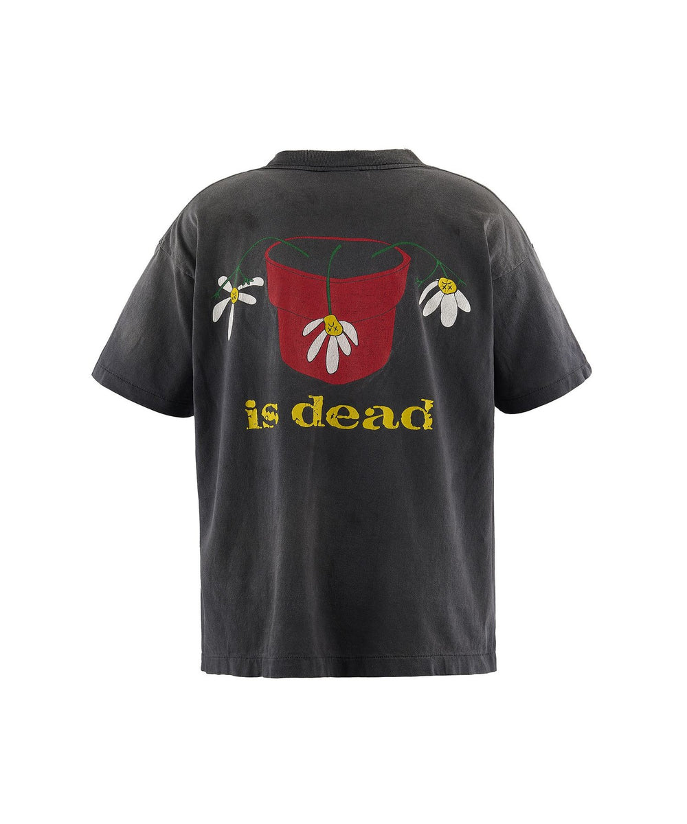 Sun様オーダー品 Imda ボニバニ ニサ Imda Sun様オーダー品 0 Nyssa 等Sun