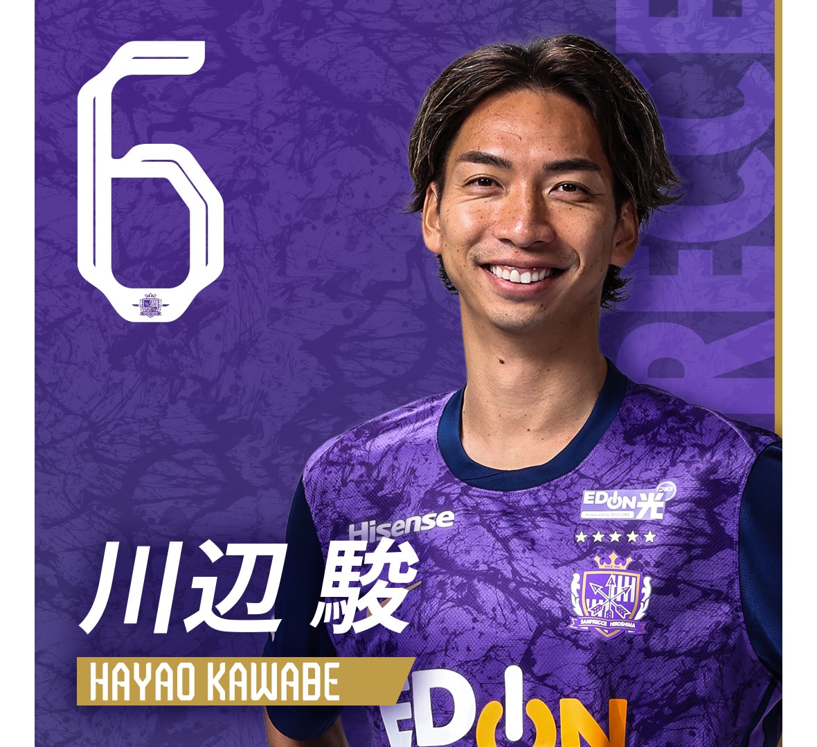 ノーマルコンプリートセット サンフレッチェ広島レジーナ オンサイト