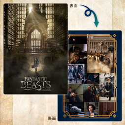 ファンタビグッズはこちら！Froovie 『ファンタスティック・ビースト