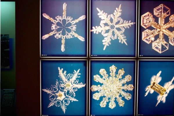 雪は天からの手紙」中谷宇吉郎 雪の科学館で氷の世界を体験 | 中川政七