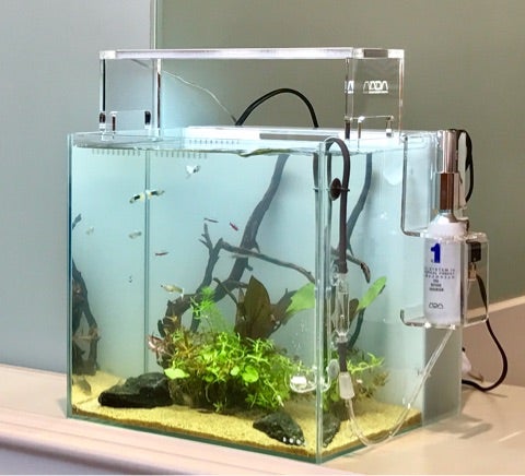 ☆システムアクア30の設置☆ | AQUA World パンタナル Official BLOG