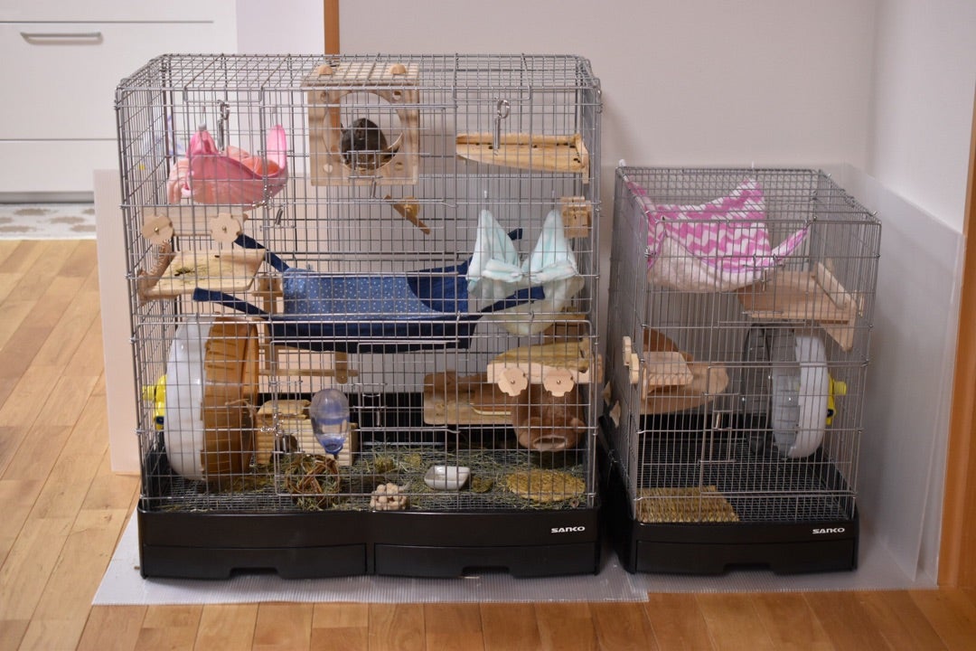小動物 イージーホーム80ハイ 小動物飼育ケージ イージーホーム80ハイ
