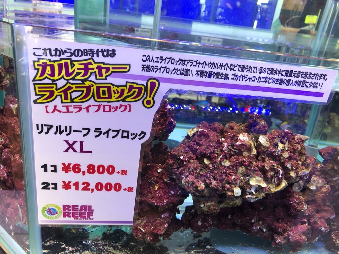 人工ライブロック SHR27 アク抜き済み安心塗料使用 人工ライブロックが