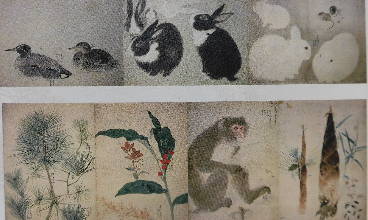 3-2866 掛軸 『庚子初秋写 應舉』 丸山応挙 3-2866 掛軸 『庚子初秋写