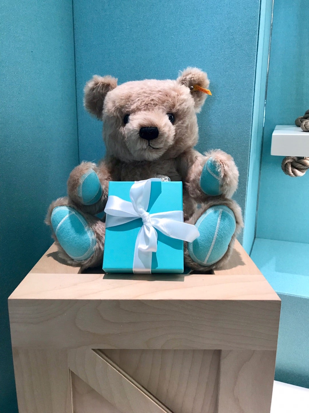 The Tiffany and Steiff | Sunny Side of The Street in New York City