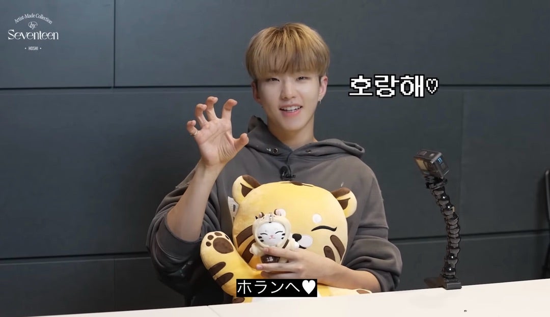 SEVENTEEN Artist Made アーティストメイド ホシ タムタム