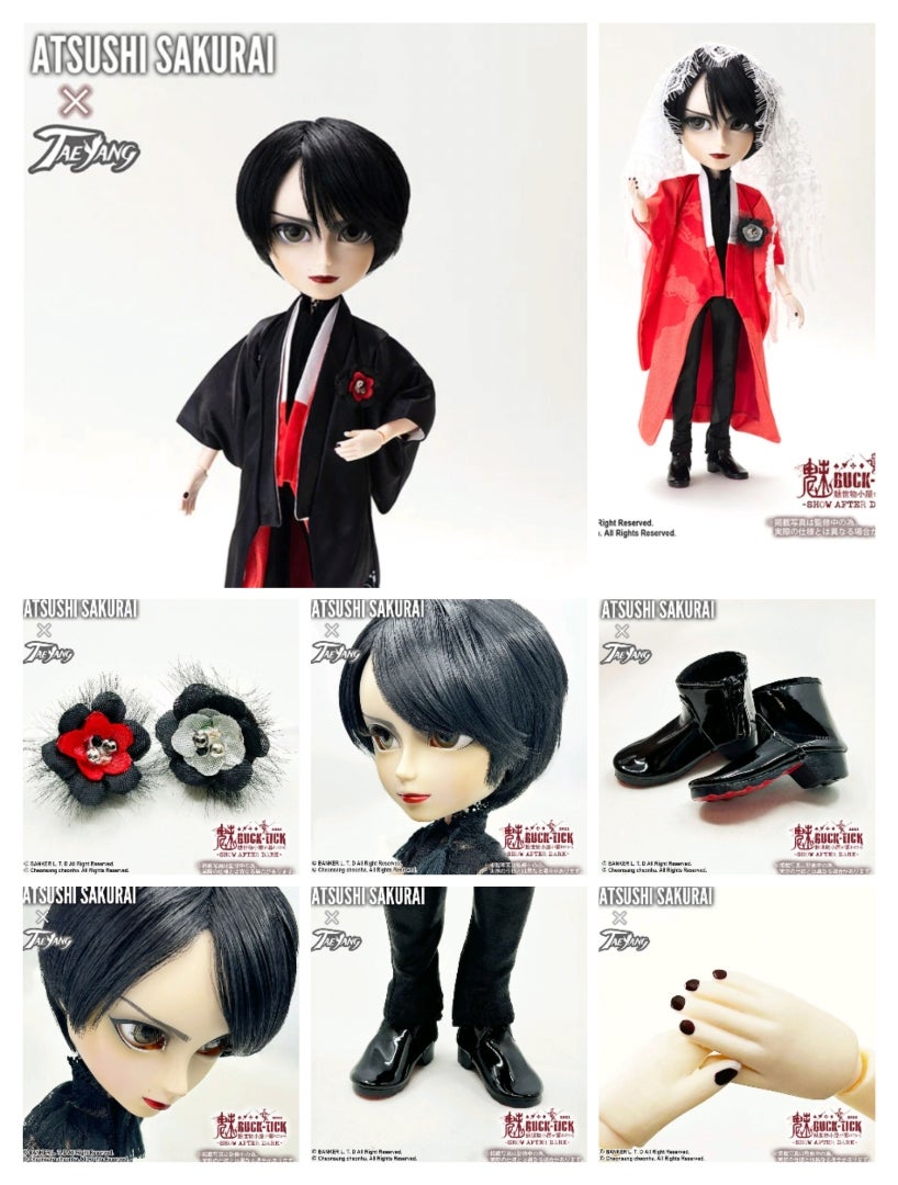 あっちゃんドールと収納 | 世界はBUCK-TICK(*˘︶˘*).｡*♡で満ちている