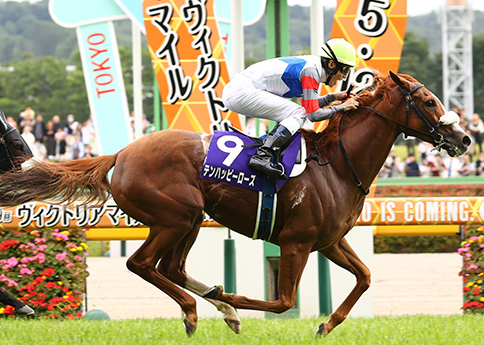 競馬】2024 ヴィクトリアマイル レース結果！あっと驚く単勝200倍で