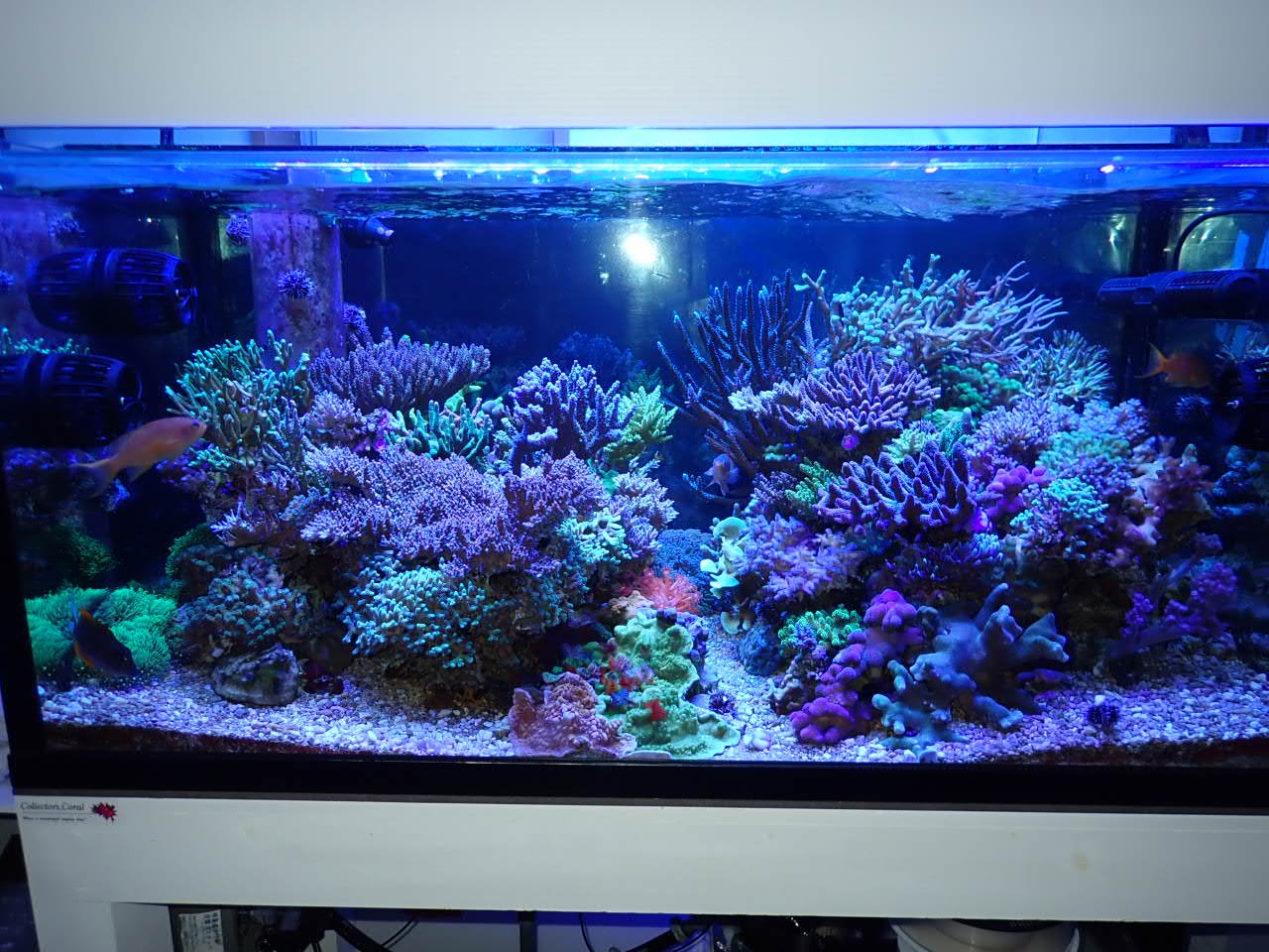 カミハタネオアーム バイタルウェーブ UVA370 5W 放熱フィン付きライト