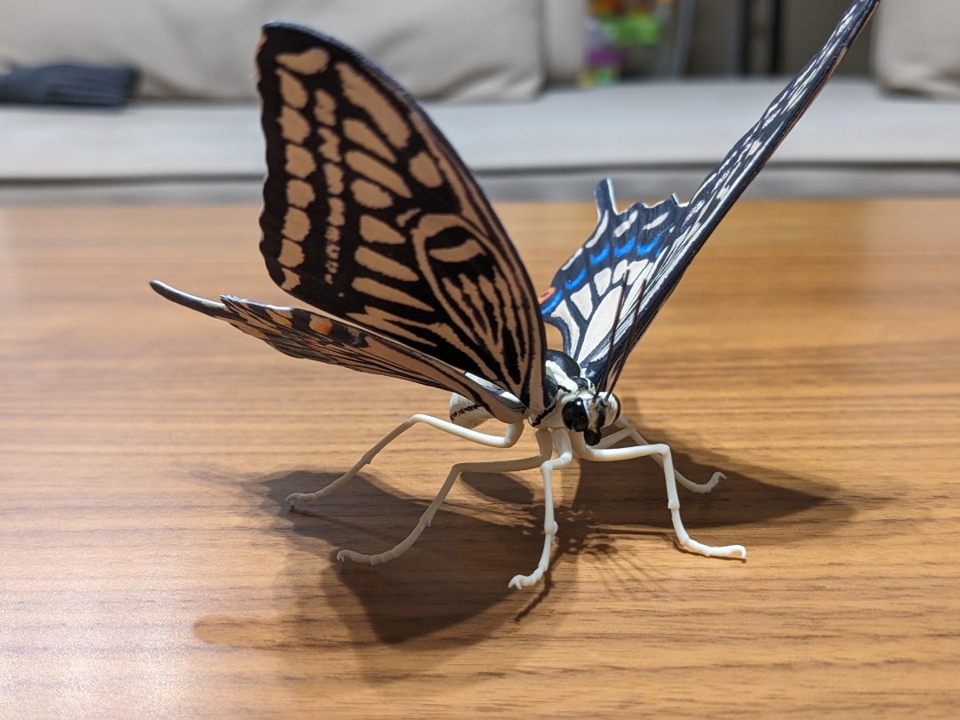 ミヤマカラスアゲハ☆いきもの大図鑑アドバンス アゲハチョウ