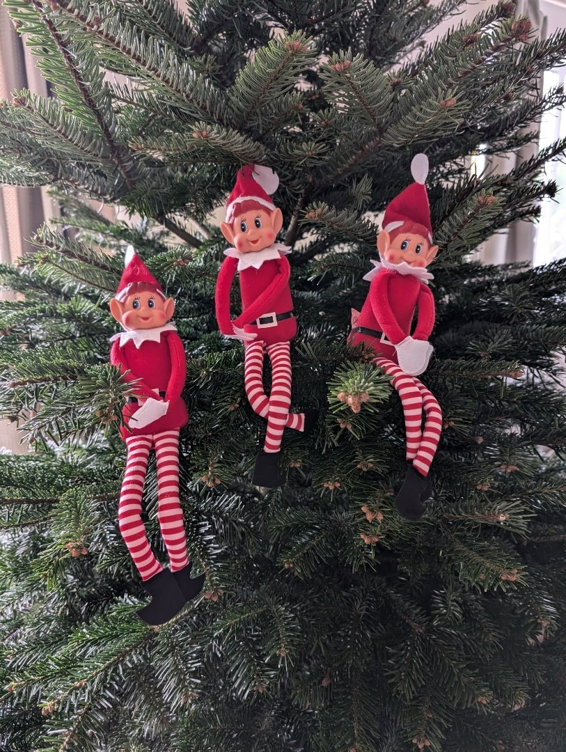 Naughty Elf | イギリス田舎暮らしとあちこち旅日記【日本お試し移住中】