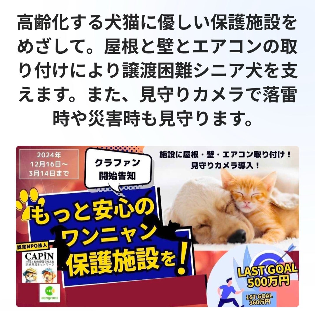 OPPテープ ♡ o1004 様♡ 黒いたぬき 様