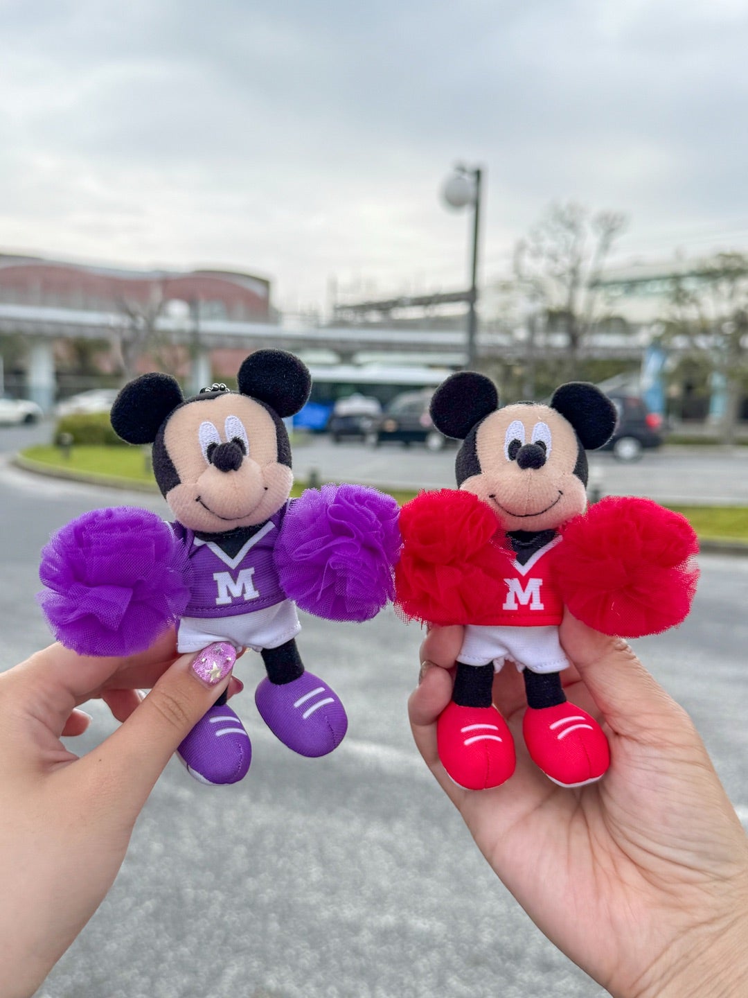 20周年 ストア ミッキー ミニー ぬいぐるみ ミキミニペア ディズニー