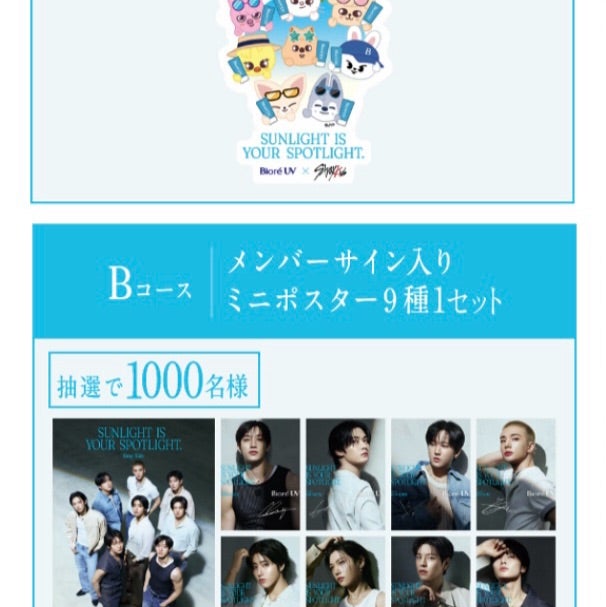 straykids スキズ ビオレ サイン入りポスター 9枚セット スキズ ビオレ