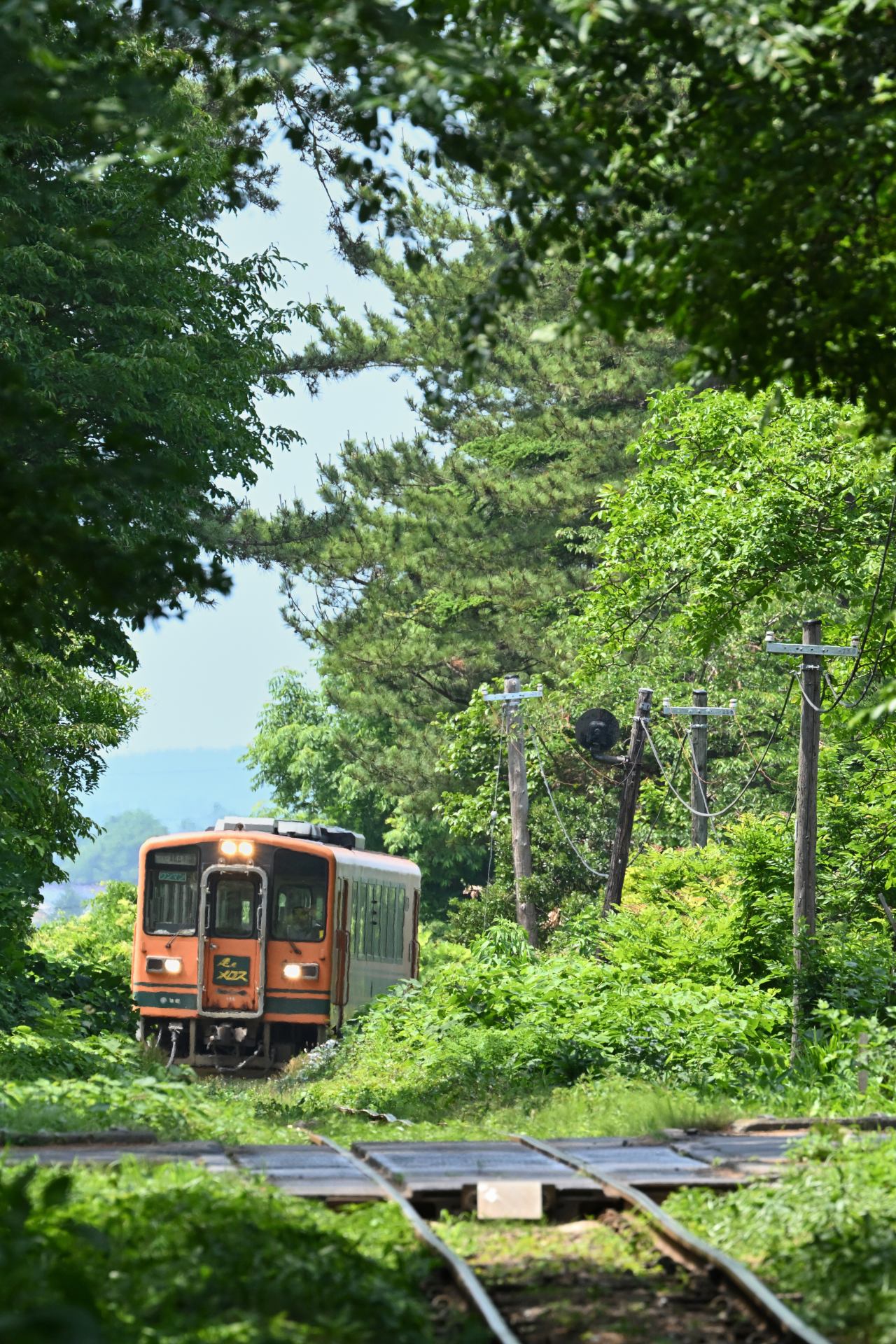 6/19(木)～22(日) 津軽鉄道・弘南鉄道・秋田内陸縦貫鉄道の撮影行①