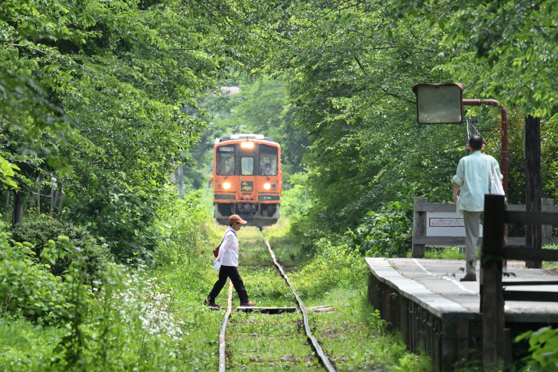 6/19(木)～22(日) 津軽鉄道・弘南鉄道・秋田内陸縦貫鉄道の撮影行①