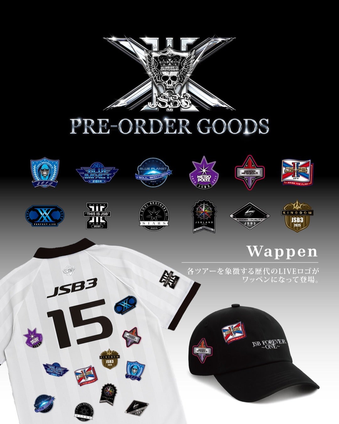 三代目 JSB FOREVER ～ONE～ ワッペン 12種類セット 三代目JSB FOREVER