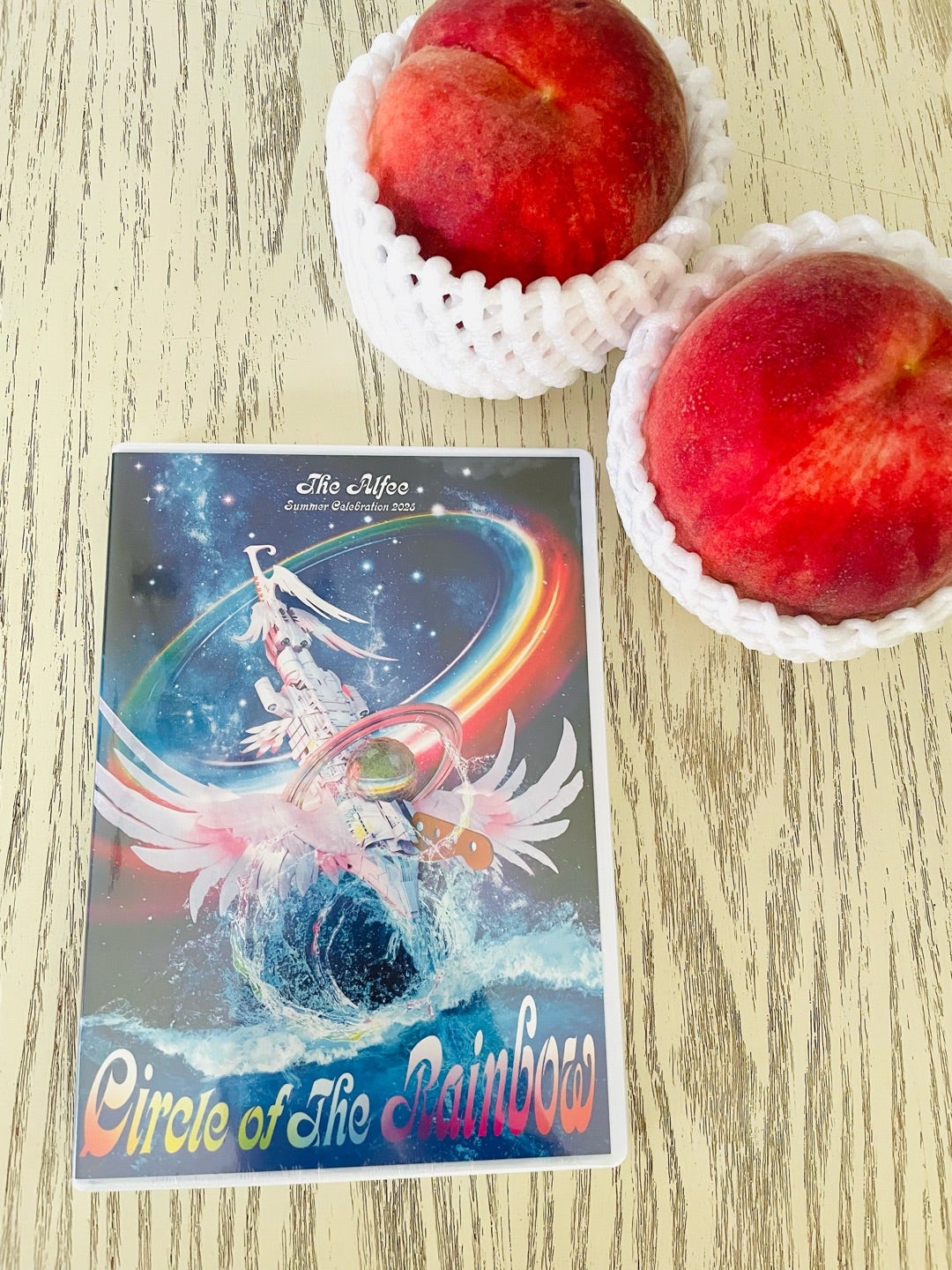 ゆ*き様 THE ALFEE アルフィー 2025年夏イベ DVDパンフレット ゆ*き