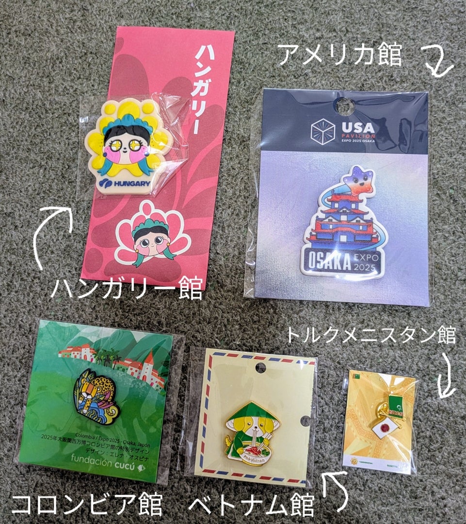 大阪関西万博 アイルランド館 ピンバッジ アウトレット 万博