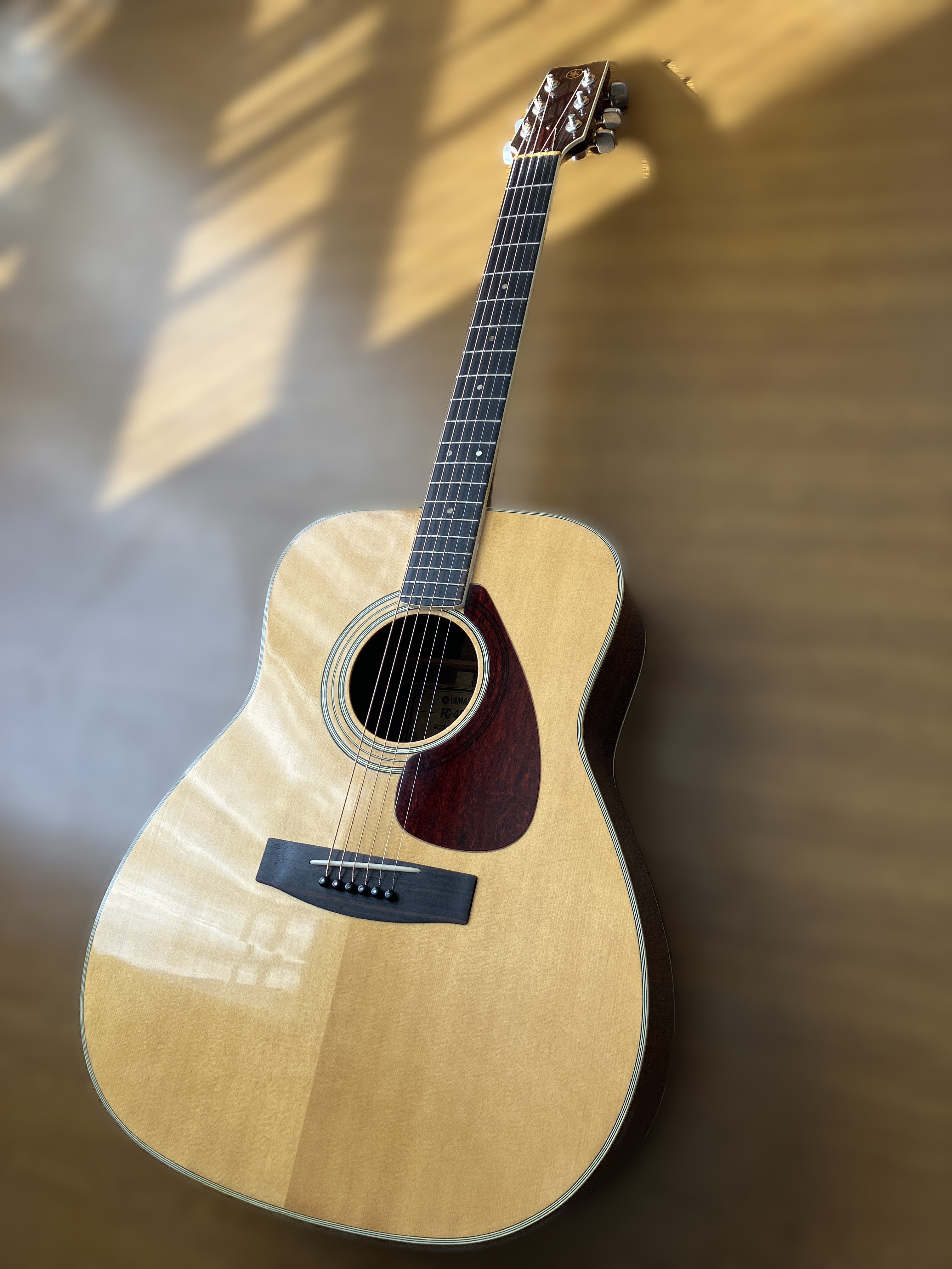 YAMAHA FG-450 レビュー | はとこP