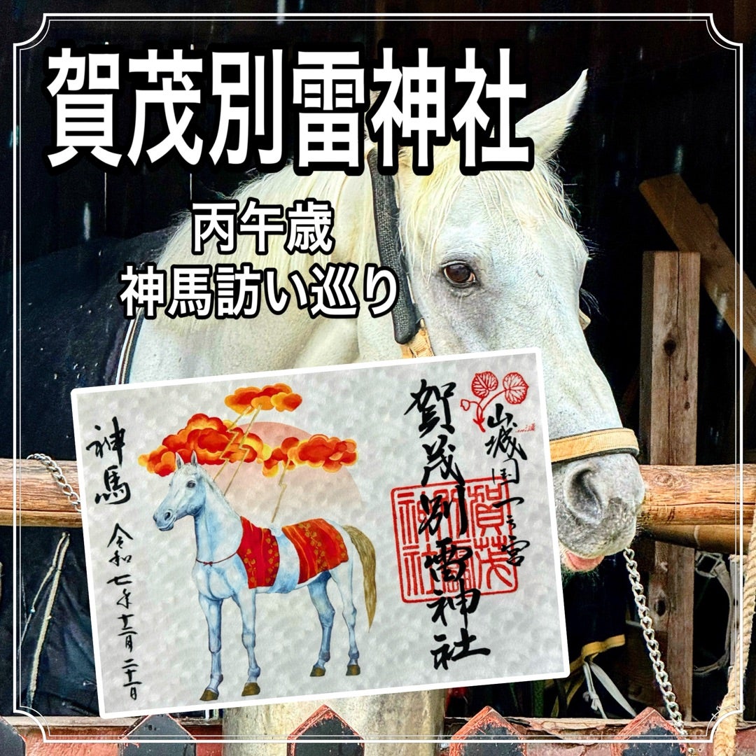 京都】丙午歳 神馬訪い巡り『賀茂別雷神社』でいただいたステキな