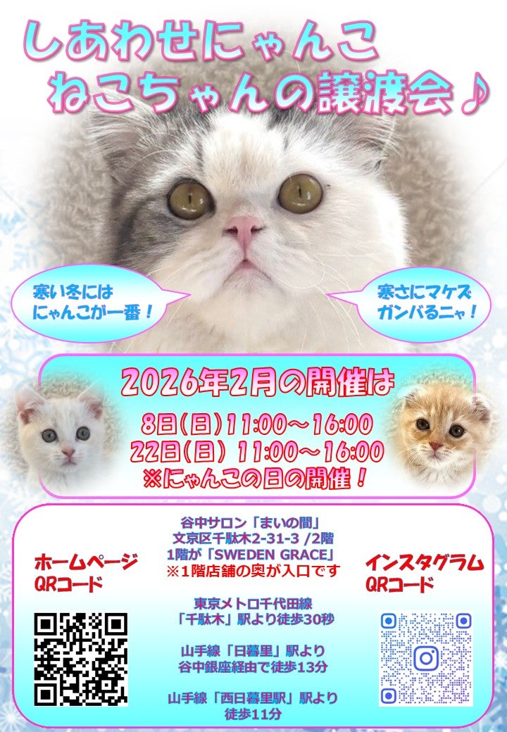 しあわせにゃんこさんのプロフィールページ