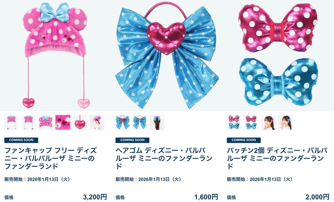 Disney - ディズニー パルパルーザ ミニー ファンダーランド ファン