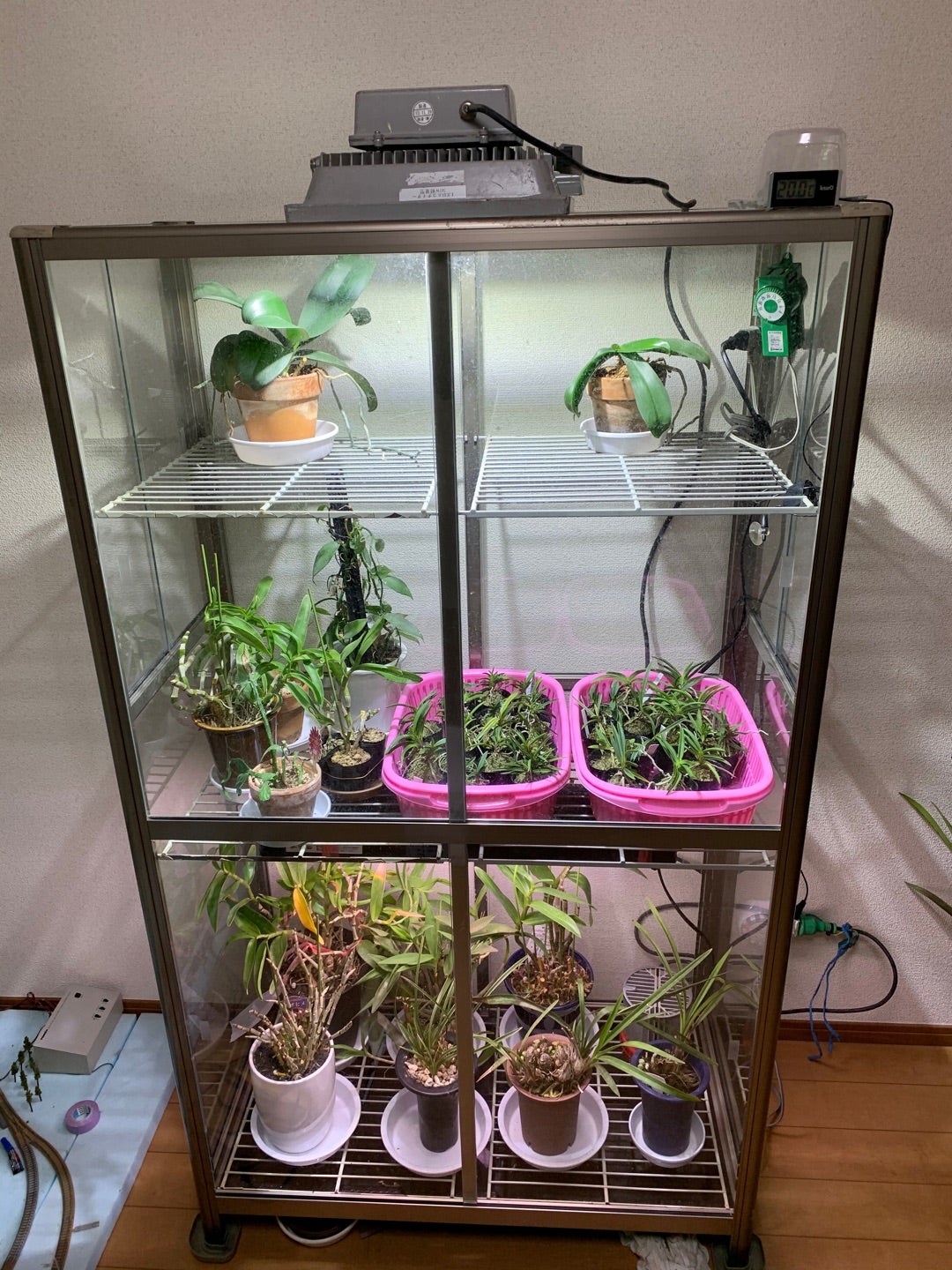 中型スライド扉温室ショーケース(植物用、観葉植物、園芸用品、爬虫類