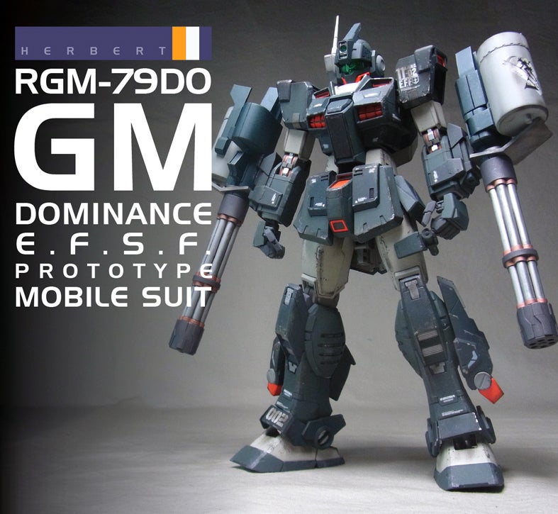 MG 1/100 ジム・ドミナンス（フィリップ・ヒューズ機）
