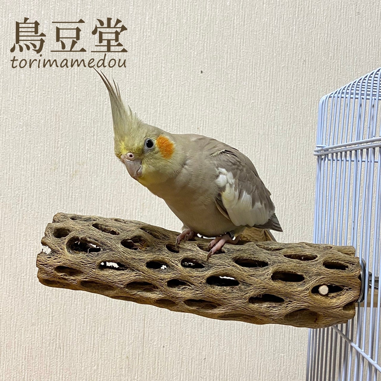 Chiiia様おまとめ 止まり木 カクタススケルトン パーチ 2本 maona 鳥
