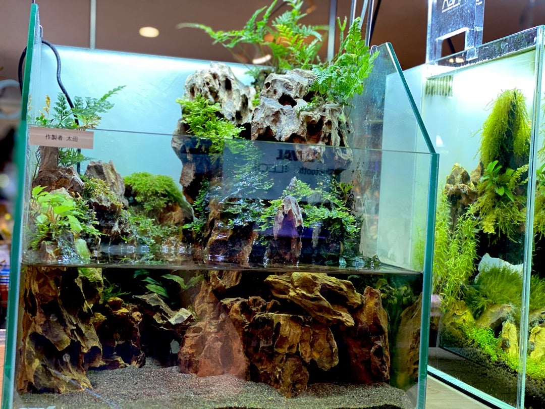 黄虎石まとめ売り