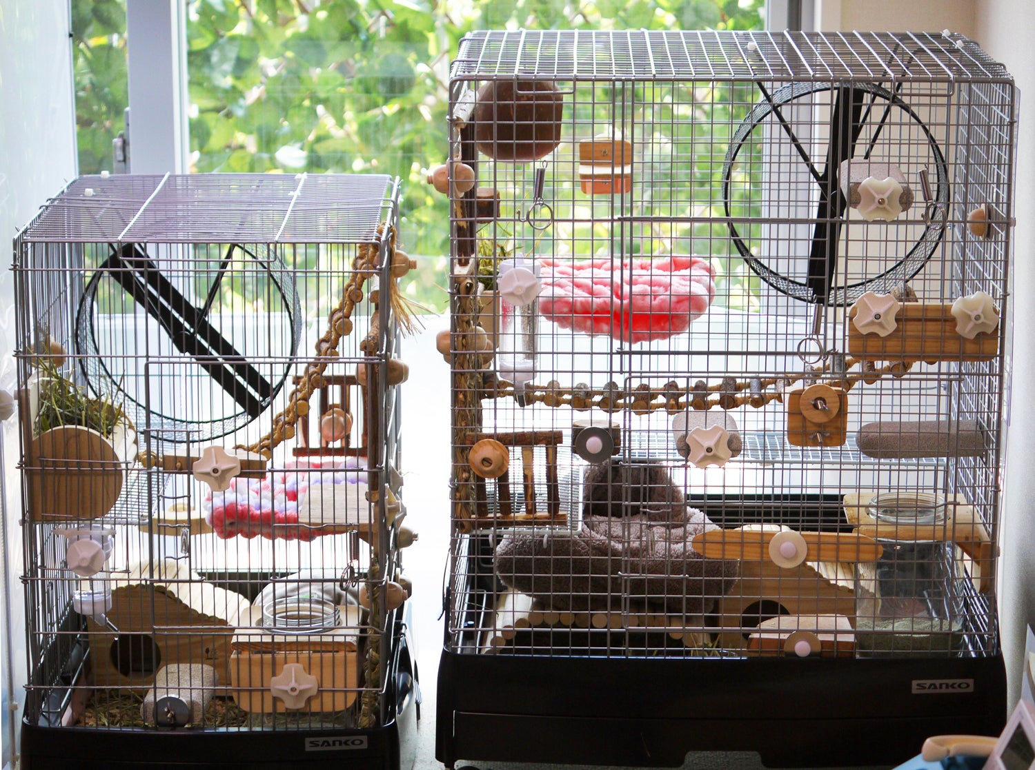 sanko イージーホーム 80 ロー ケージ 樹脂ステージ付き デグーの飼育