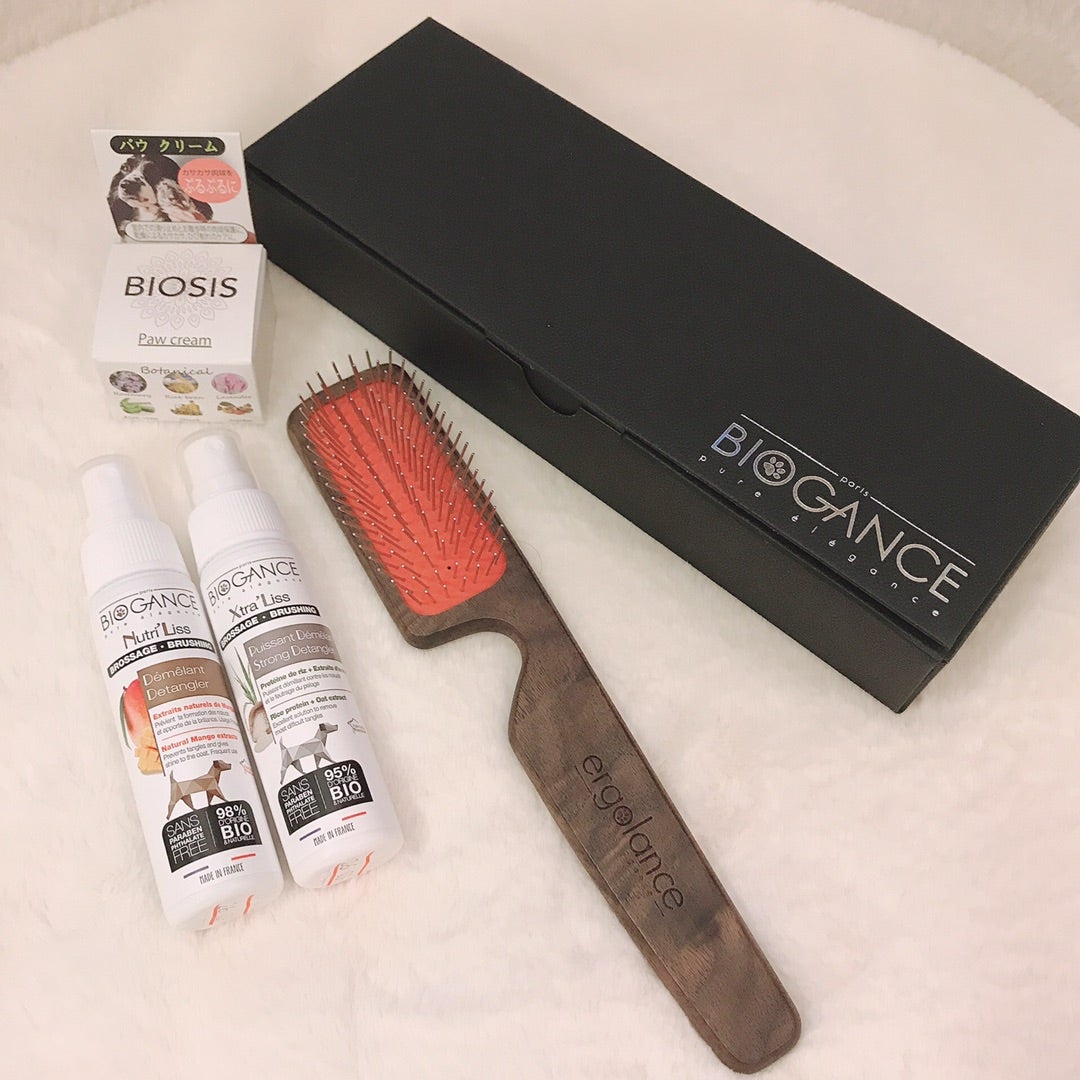 ピンブラシって最高！ | 杉並LIFEwith白シュナたち