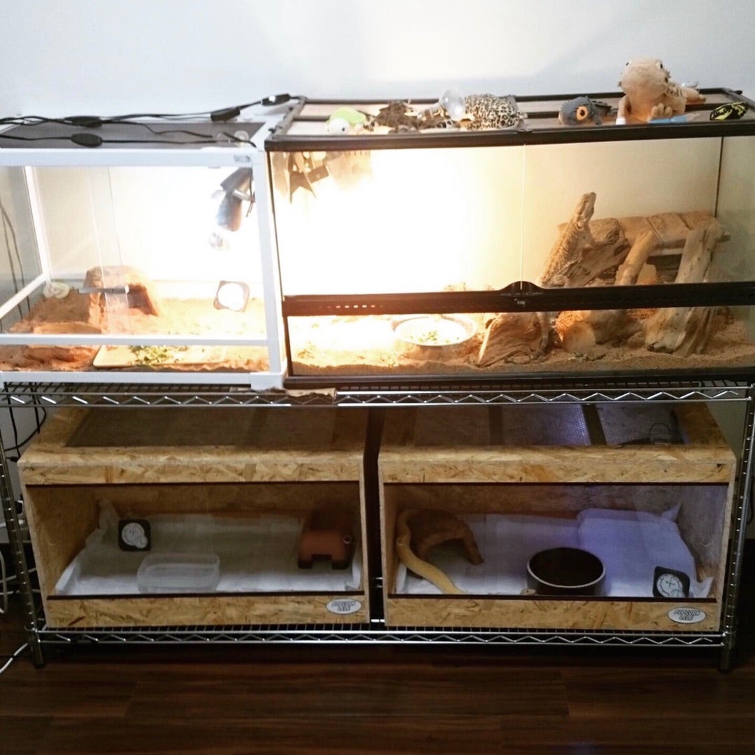 爬虫類ケージ 爬虫類飼育ゲージ 90ラック用サイズ 天井ノーマル仕様