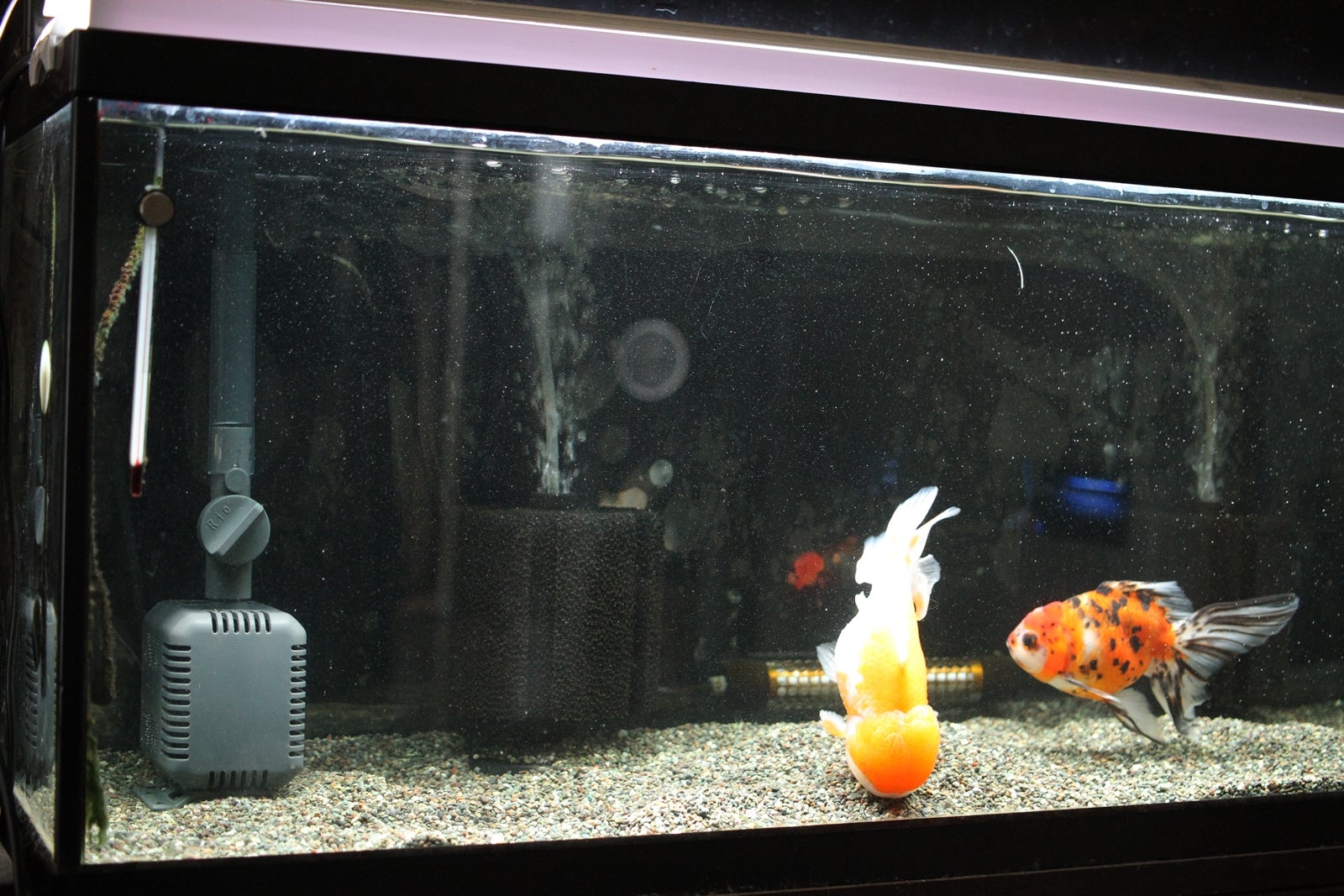 GEX グランデ900 90cm水槽用・上部フィルター