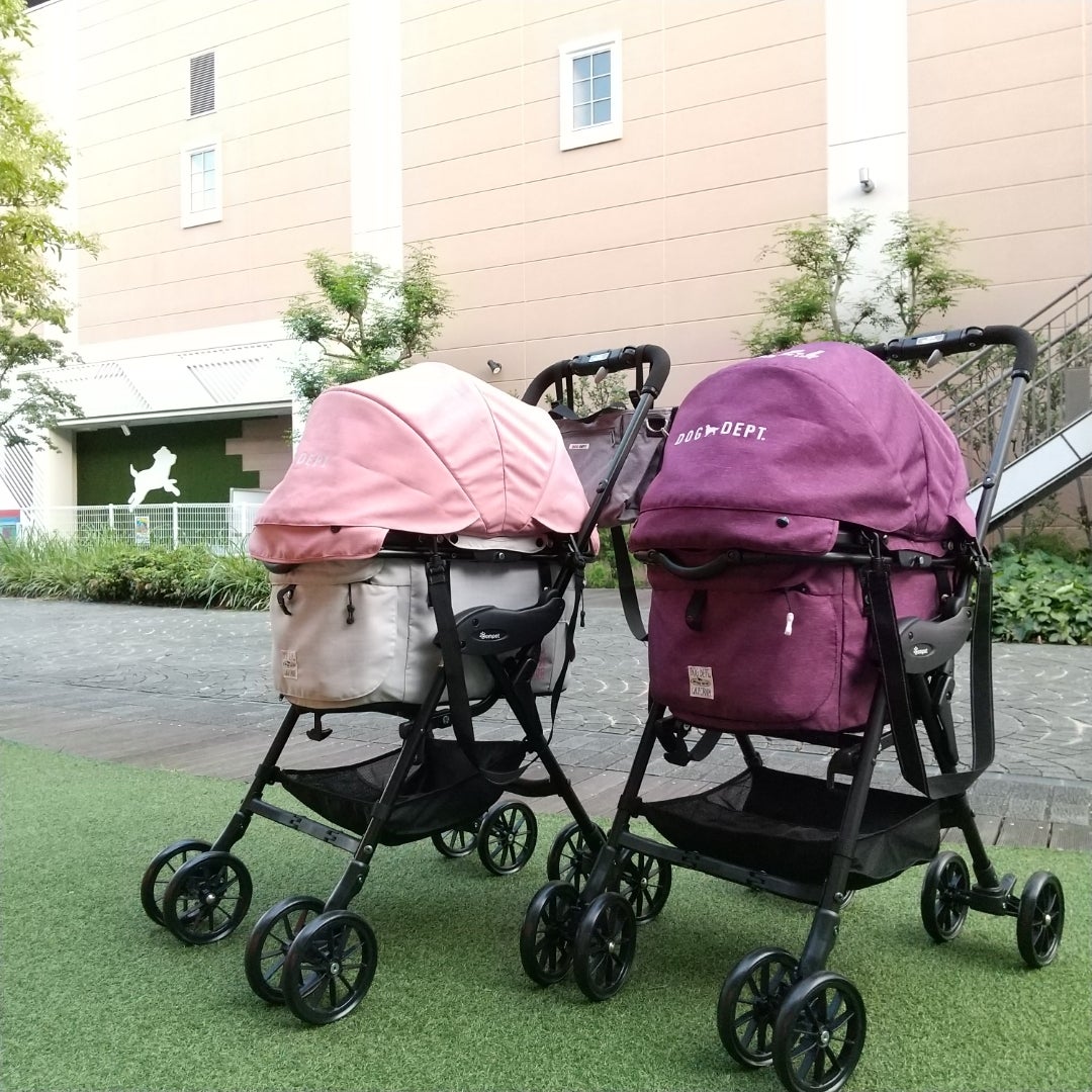 Compet×DOGDEPTコラボカート | DOG DEPT みのお キューズモール店のブログ