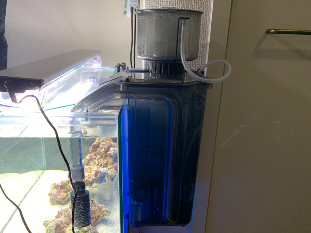 カミハタ海道達磨インプレ・静かで高性能、安いプロテインスキマー