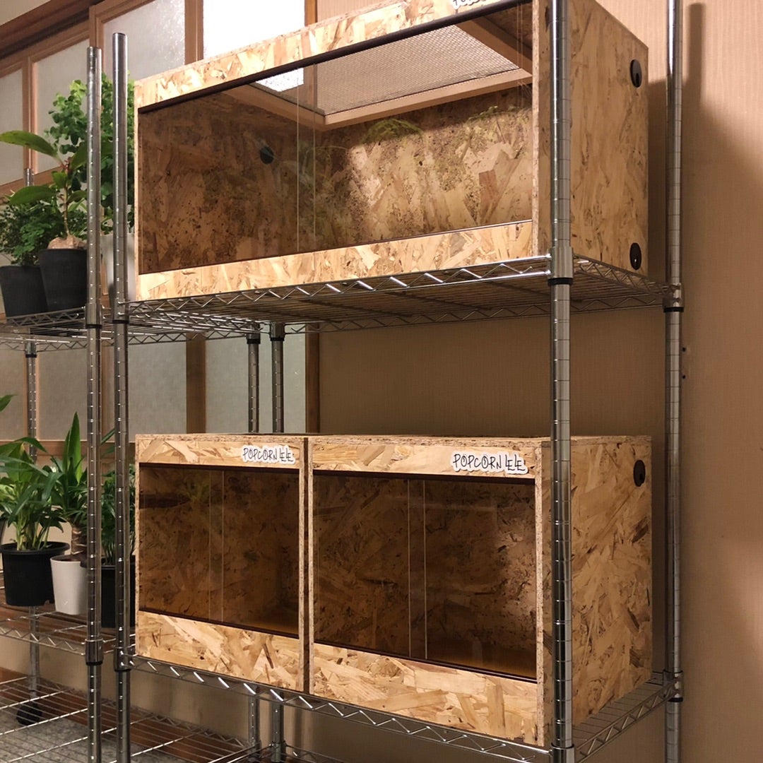 最終在庫】レオパ、ヘビの飼育ケージ スネークラック