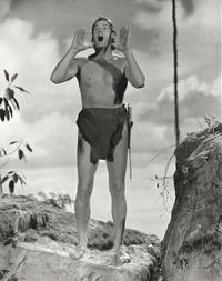 写真 ジョニー・ワイズミュラー ターザン ヴィンテージフォト 水泳選手