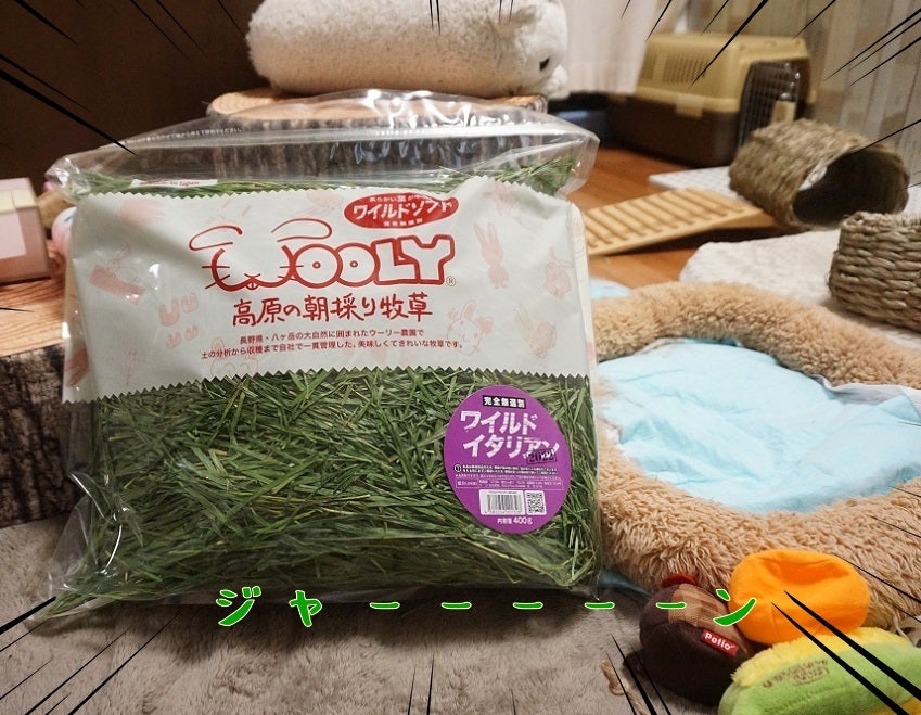ウーリー woolly ワイルドイタリアン 未開封 4袋 2025年 朝採り牧草