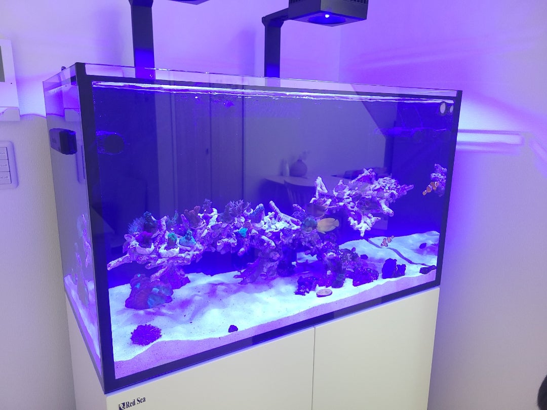 引き取り限定 redsea reefer250 レッドシー リーファー250redsea