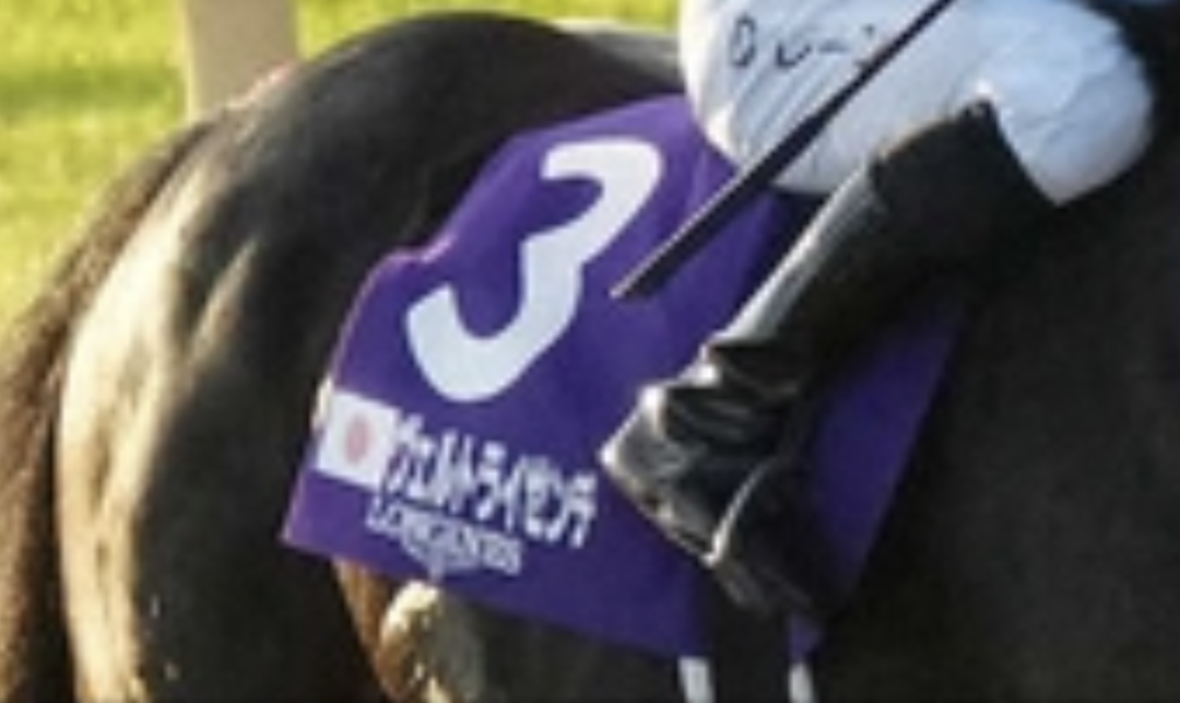 ジャパンカップのミニゼッケン届く | Through Blood