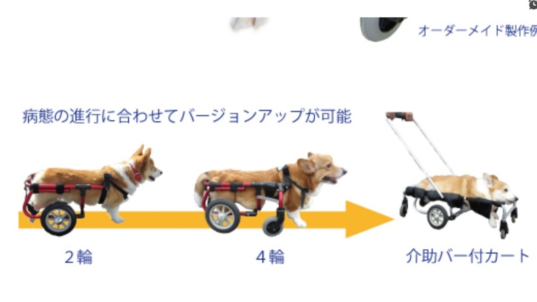 犬用車いす 赤と黒 大きな車輪アドワークス