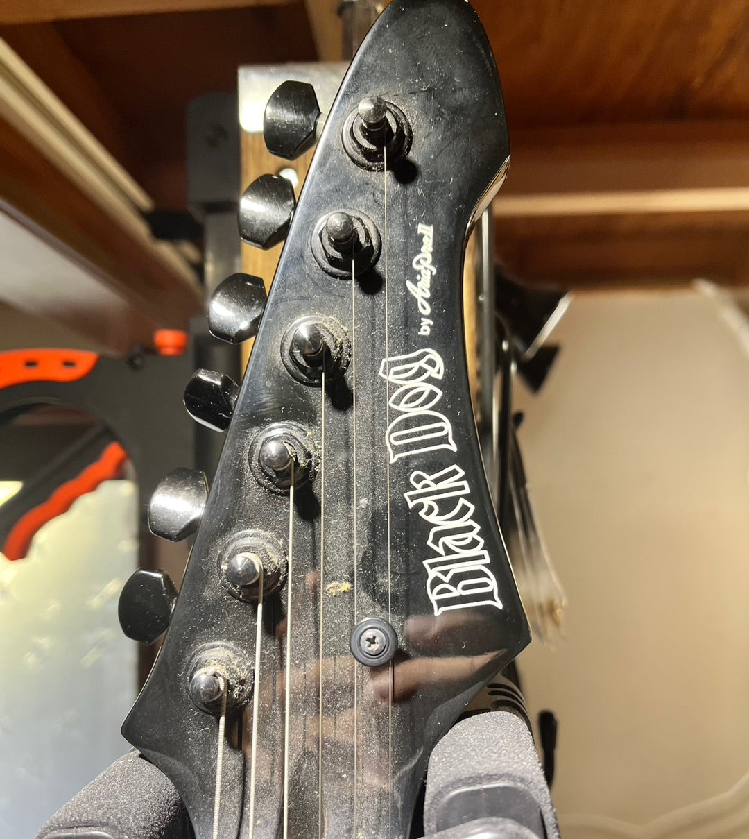 続無駄遣いは止まらない。 Black Dog by Aria Pro II | ギターいじりは