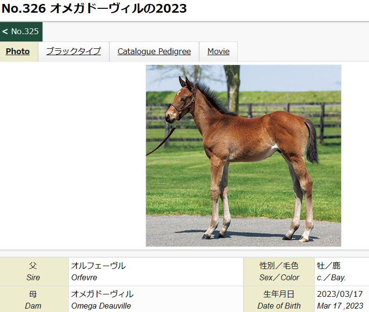 セレクトセールでオルフェーヴル産駒落札しました | ぐりぐり君の個人