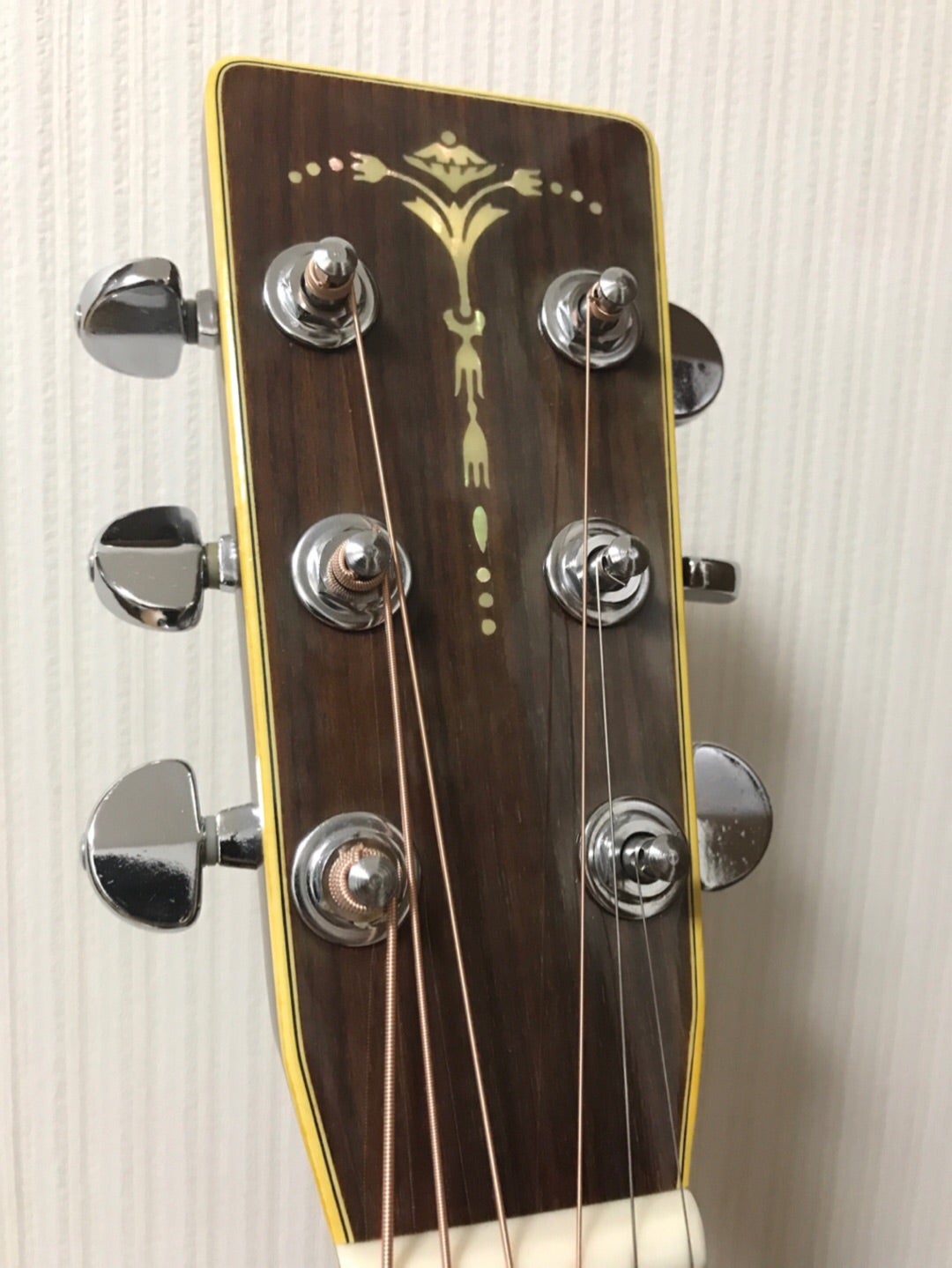 ギター Cat's-Eyes CE 450D cat's eyes CE-450D アコースティック