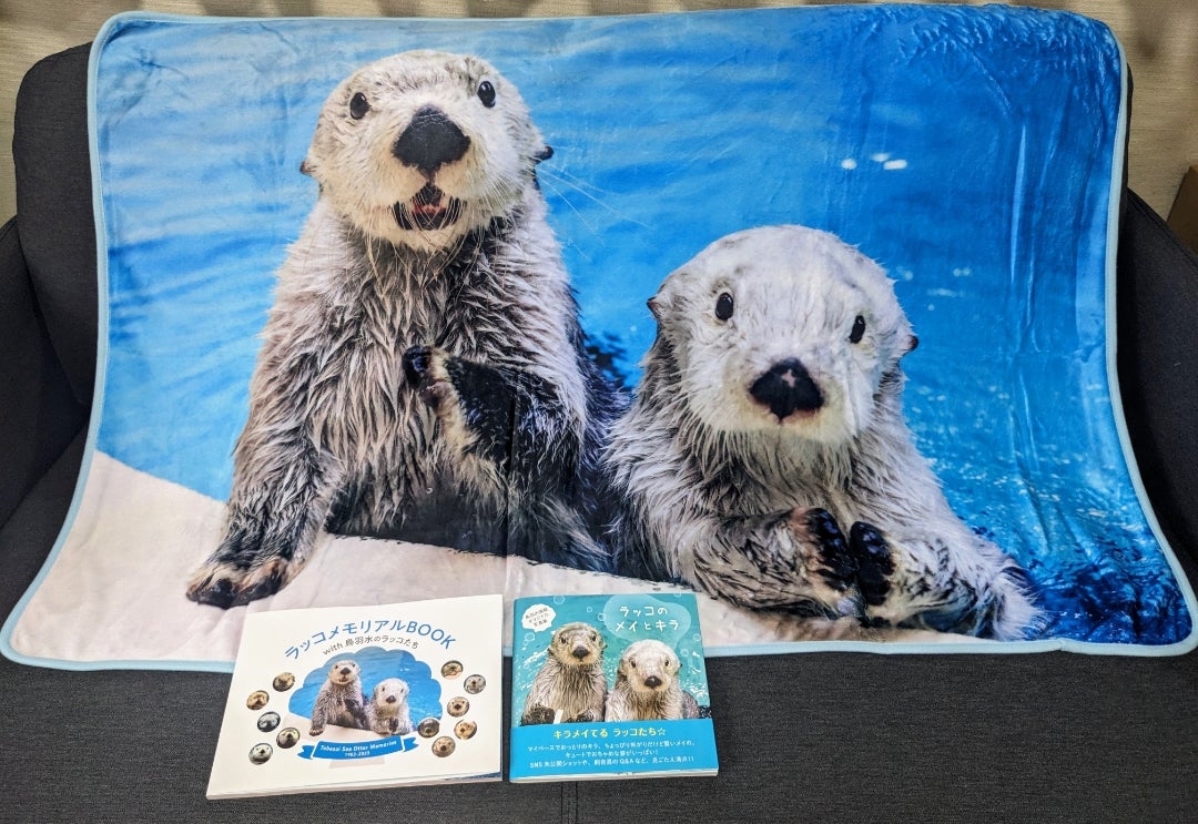 激レア！！⭐️鳥羽水族館⭐️70周年⭐️キラとメイ⭐️メイキラ⭐️メイ